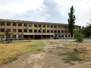Milli Park