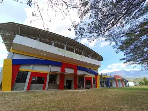 Stadion Maliana, Soso