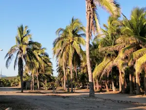Playa Nexpa