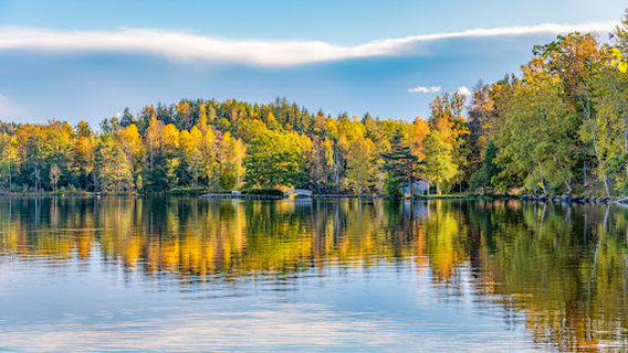 Baldersnäs naturreservat