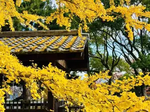 舞鶴公園