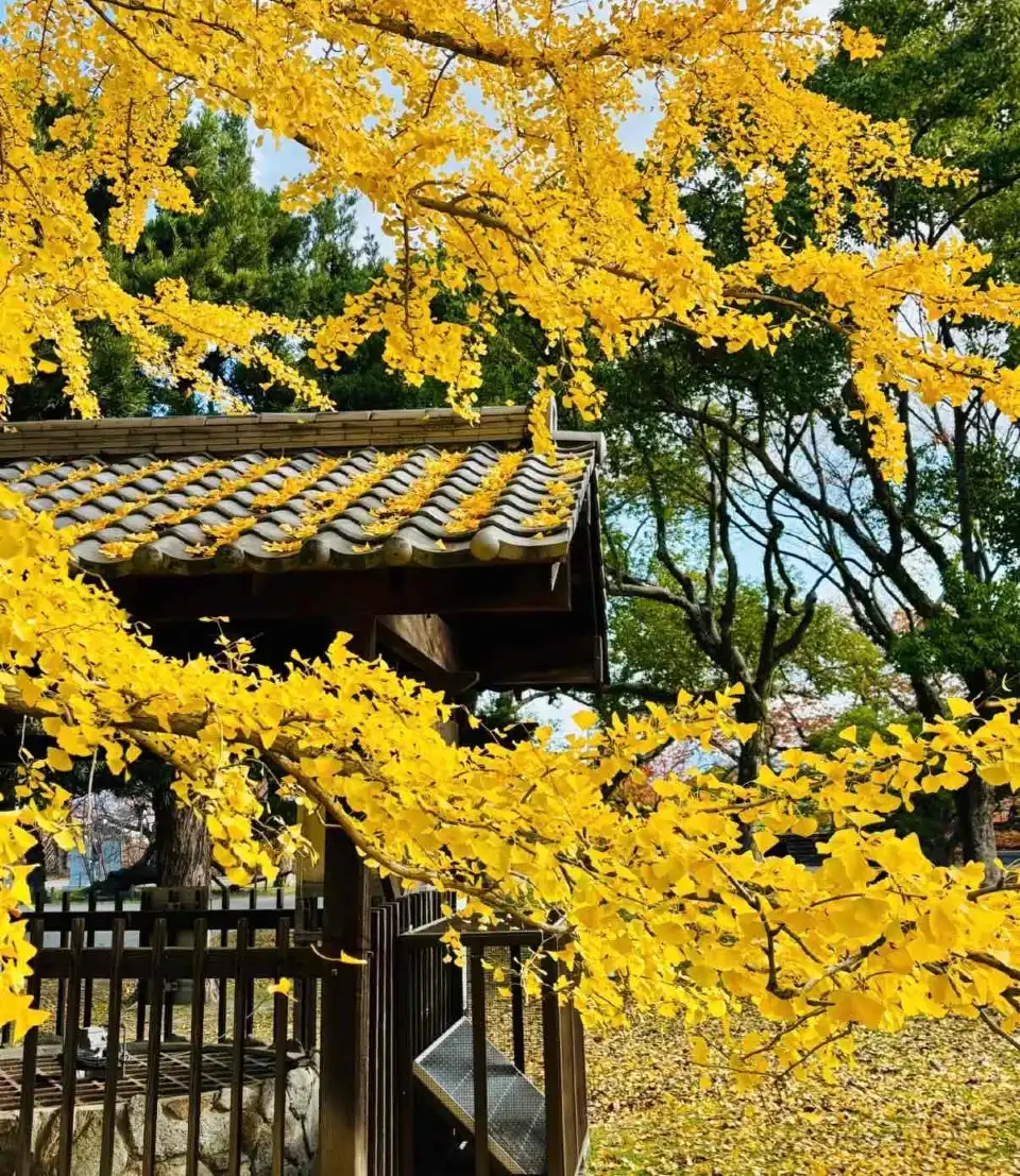 4_Maizuru Park