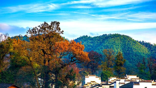 da fo si feng jing ming sheng qu - shi cheng