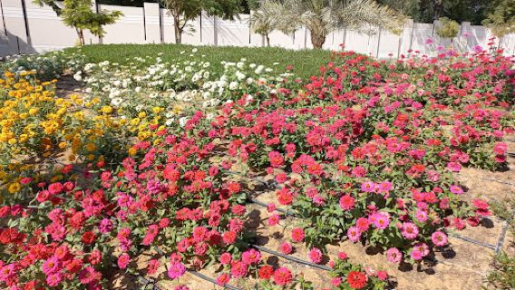 Al Safia Park