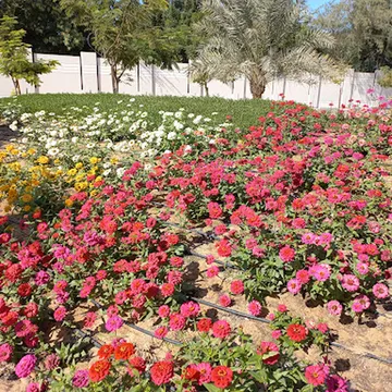 Al Safia Park