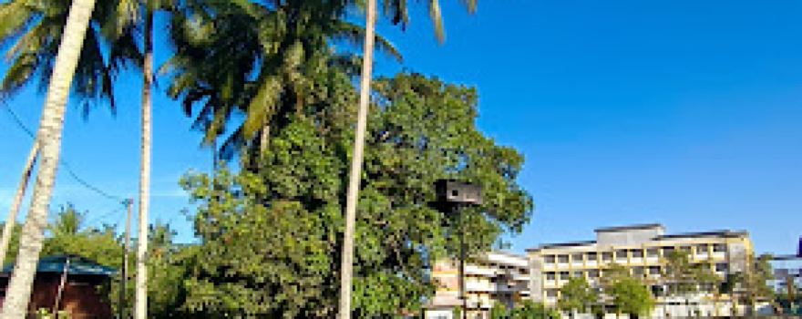 Homestay Kampung Agong