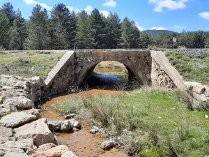 Nacimiento del Río Tajo