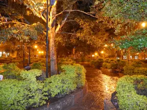 Oiba Main Park