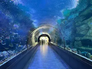 Trabzon Aquarium