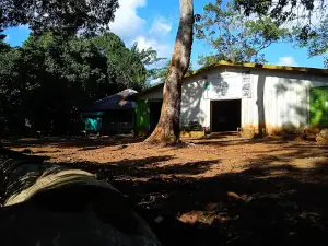 Pembibitan Nursery PT. Arutmin Indonesia-Senakin