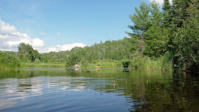 Four Corners Algonquin
