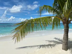Orivaru