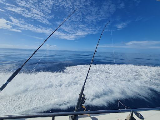 Hooked On 1770 Offshore Charters