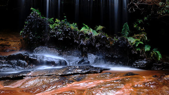 Wentworth Falls