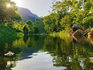 Suối đá cổng