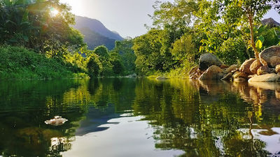 Suối đá cổng