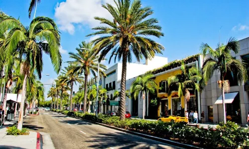 로데오 드라이브