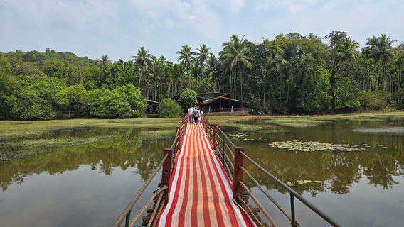 Tropical Spice Plantation