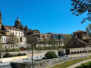 Roman bridge of Salamanca
