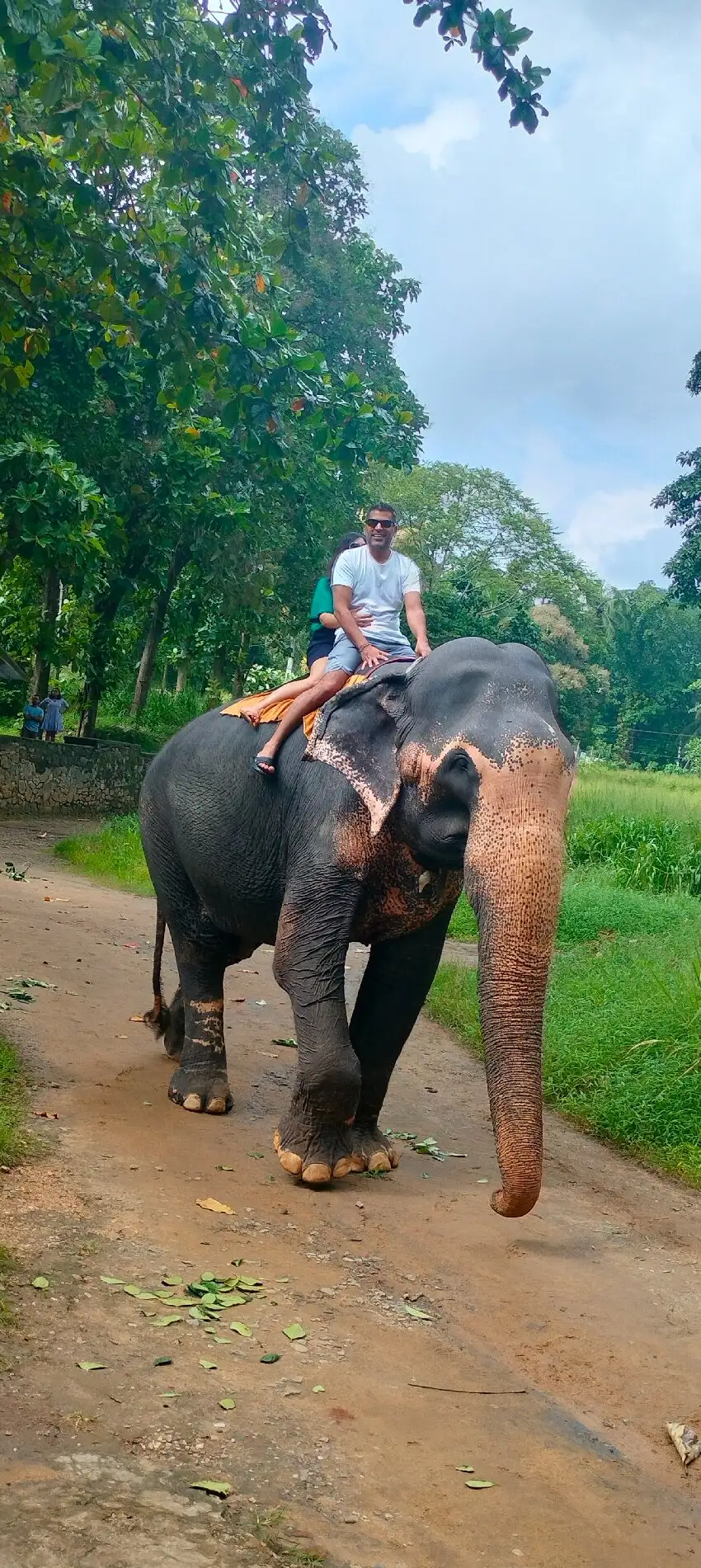 4_Millennium Elephant Foundation