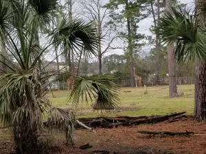 Ellen Trout Zoo
