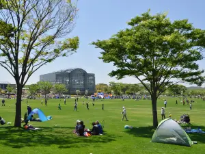 Hibikinada Ryokuchi (Green Park)