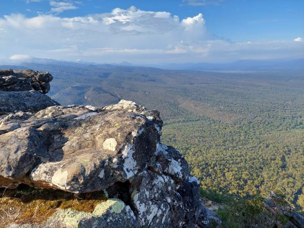 Reed Lookout