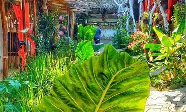 Hotels in Eastern Samar