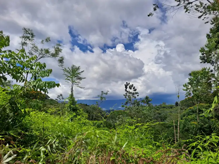 Hotels in Guaycara