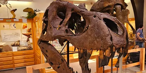 Tate Geological Museum