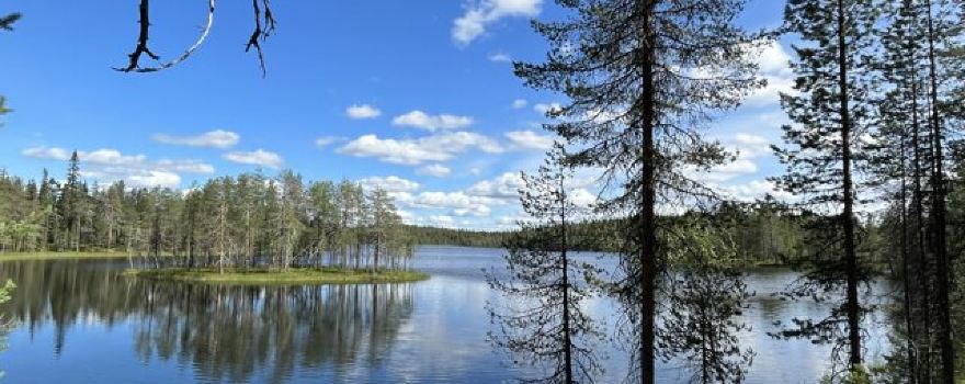 Syote National Park