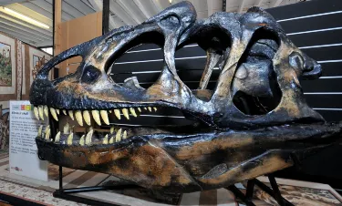 Dinostar