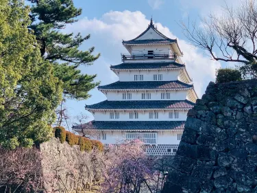 Shimabara Castle