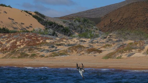 Administracion Turistica del Parque Nacional Galapagos
