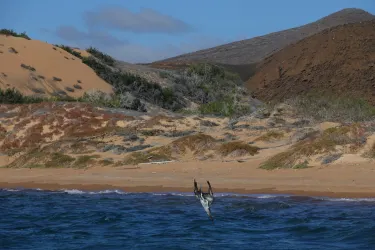 Santa Cruz