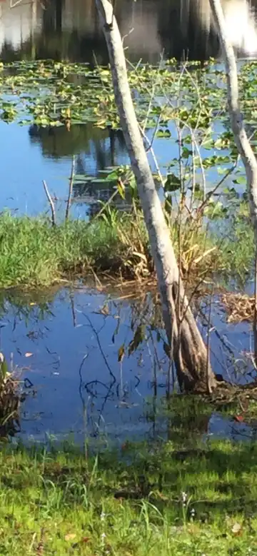 Hotels in Casselberry