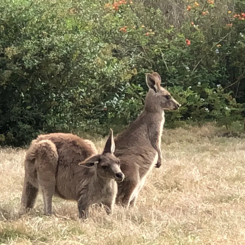 4_Riverside Oaks Golf Resort