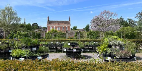 Walled Gardens of Cannington