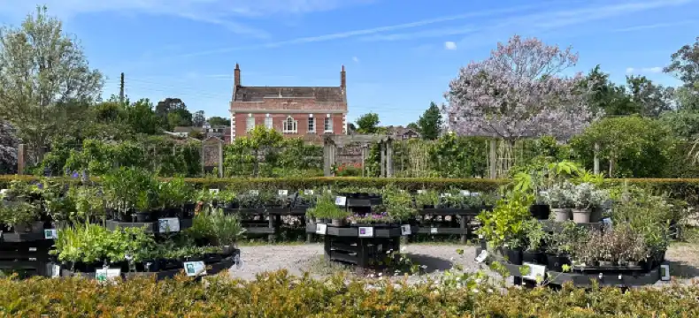 Hotels in Bridgwater