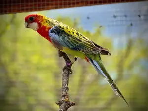 animal park Lussas