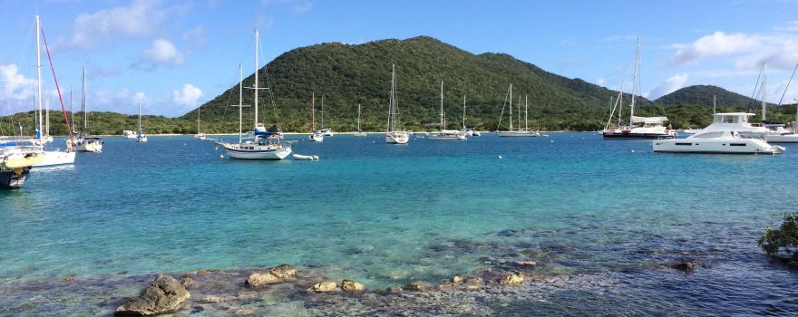 Trellis Bay