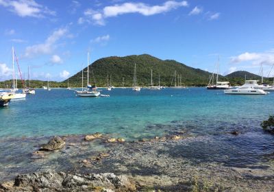 Trellis Bay