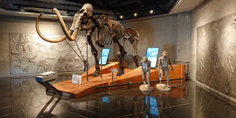 巖宿博物館