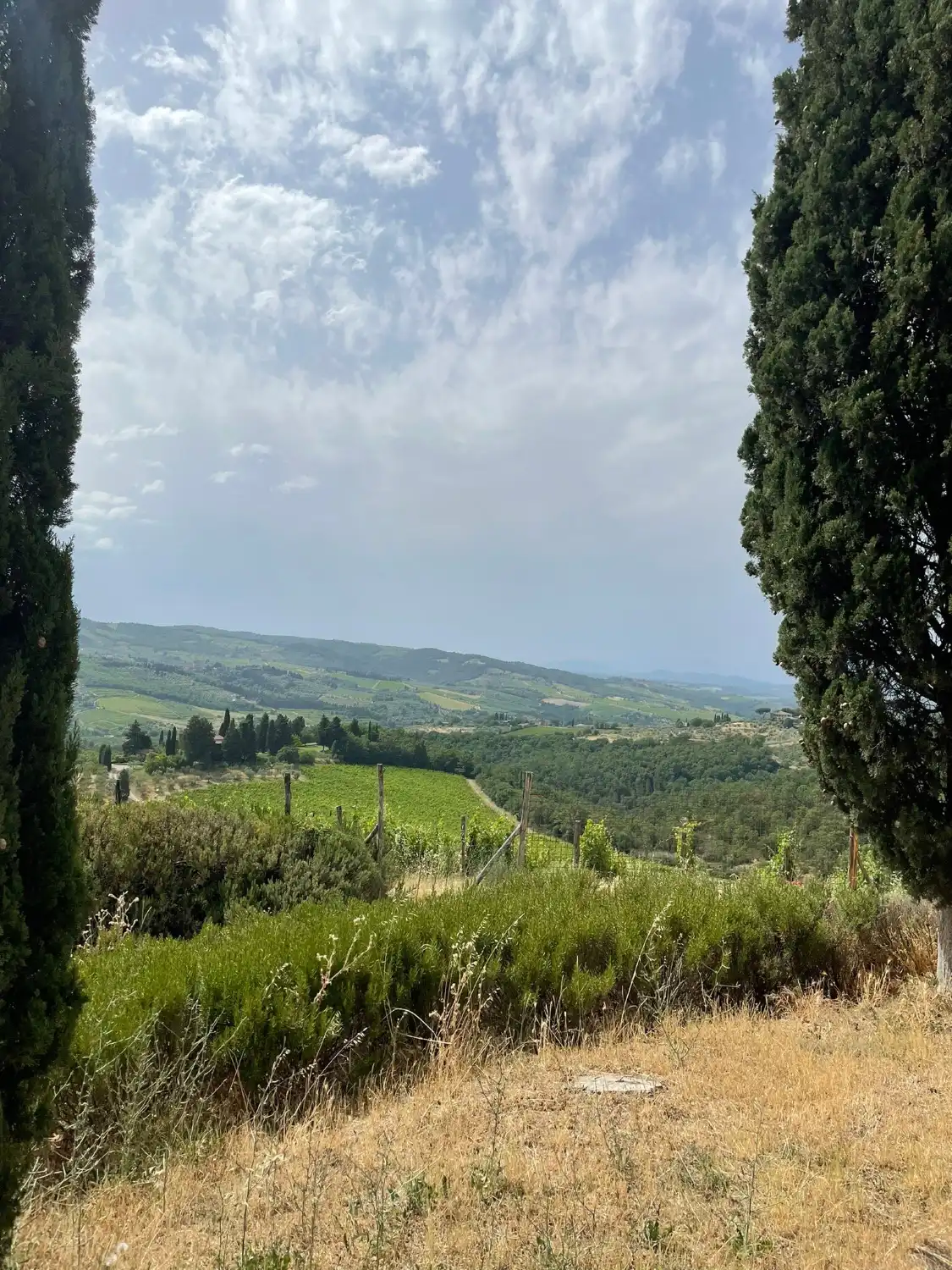 Hotels near Querciabella