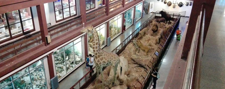 Museo de Ciencias Naturales El Carmen