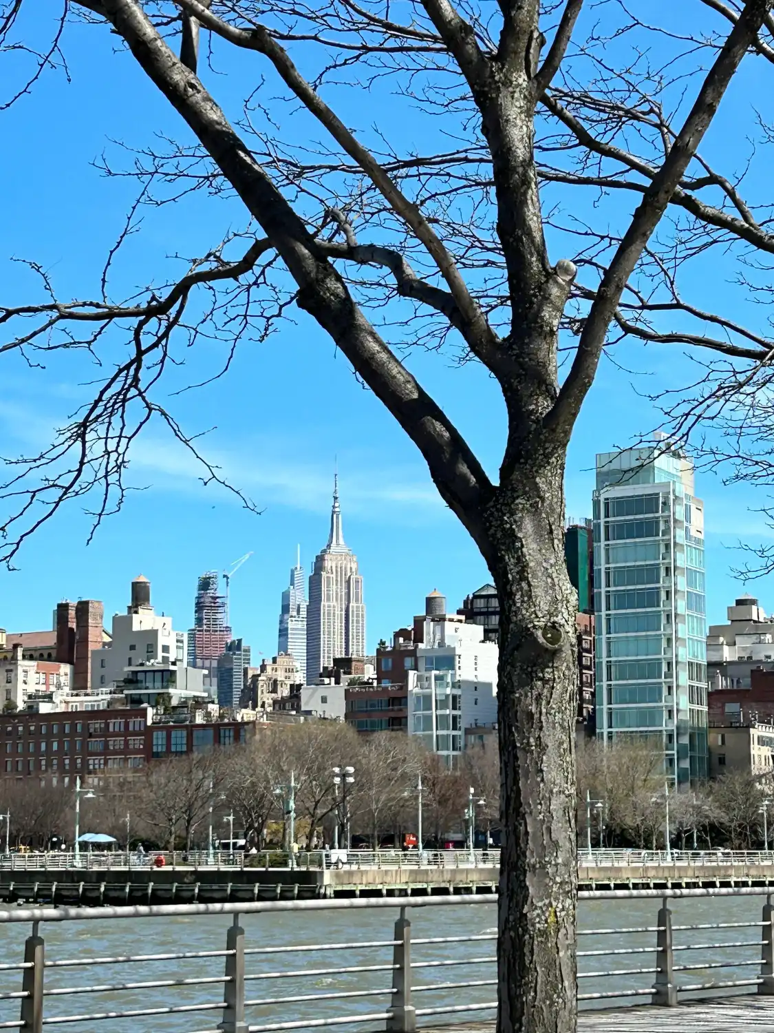 45號碼頭附近的飯店