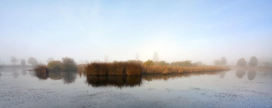 L'Etang de la Plaine