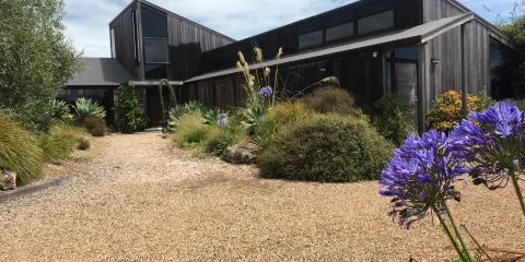 Jurassic Ridge Vineyard