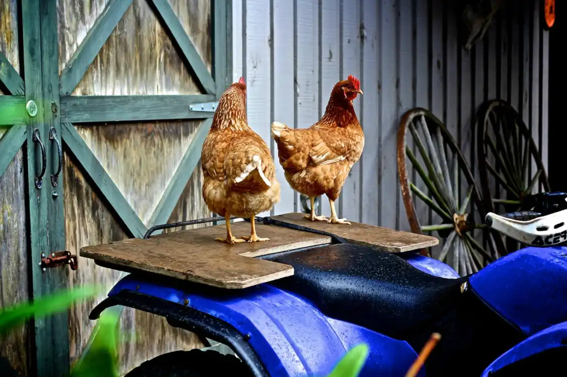 Hotels near Panorama Garden Estate