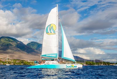 Sea Maui